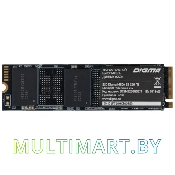 SSD диск Digma Mega S3 256GB (DGSM3256GS33T) картинка 6